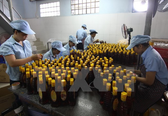 Ảnh minh họa. (Nguồn: TTXVN) Kiểm tra các tổ chức hội sau "lùm xùm" nước mắm của Vinastas ảnh 1