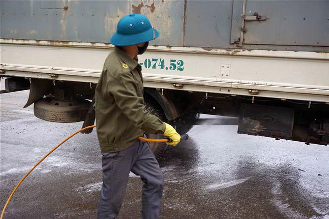 Việc nghiên cứu vắcxin phòng dịch tả lợn đã có kết quả bước đầu ảnh 2