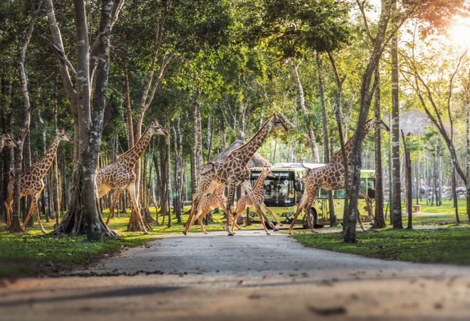 Chính thức ra mắt chuyên trang quảng bá ‘Live Fully in Vietnam’ ảnh 1