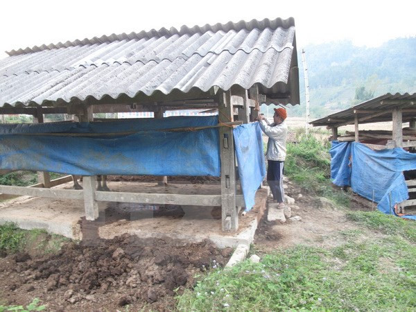 Miền Bắc chìm trong giá rét, Hà Nội có thể xuống dưới 10 độ C ảnh 1