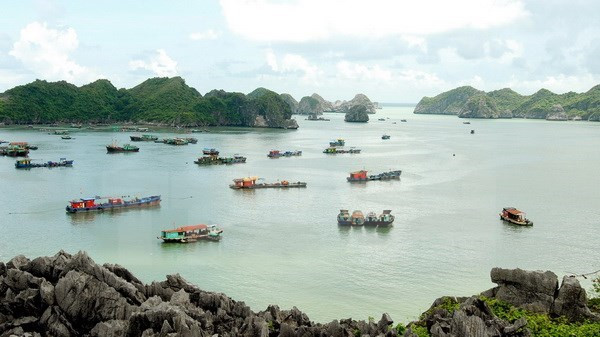 Thông tin thêm về vụ du khách nước ngoài tự tử trên tàu du lịch ảnh 1