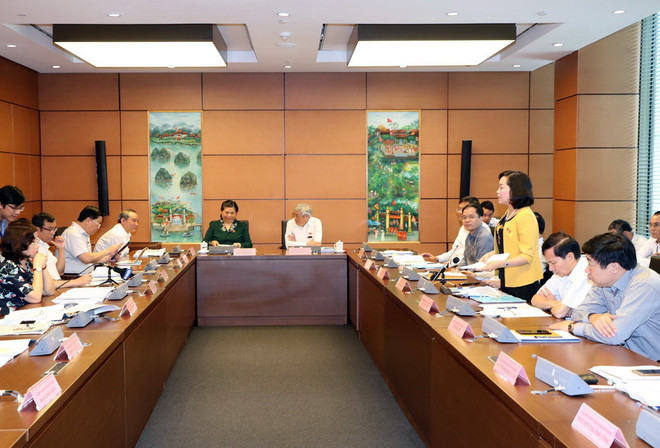 Đại biểu Quốc hội lo ngại về thu hút vốn đầu tư nước ngoài ảnh 1