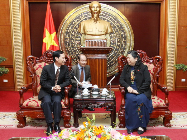 Các ủy ban của Quốc hội Việt-Lào tăng cường hợp tác ảnh 1