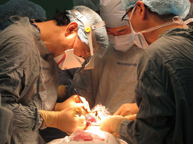 Bổ nhiệm Lãnh sự danh dự Việt Nam tại thành phố Nagoya của Nhật Bản ảnh 1