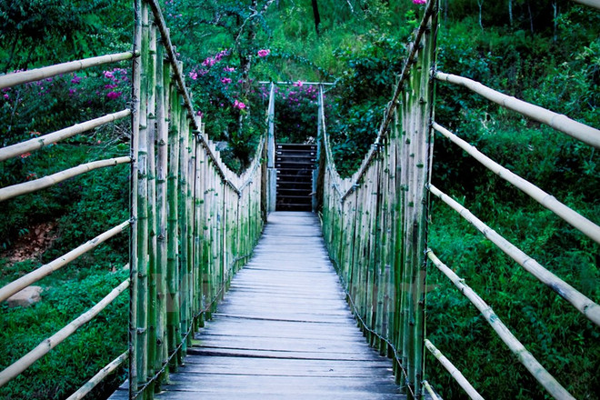 Ma Rừng lữ quán: Khám phá tiên cảnh nơi thâm sơn cùng cốc ảnh 5