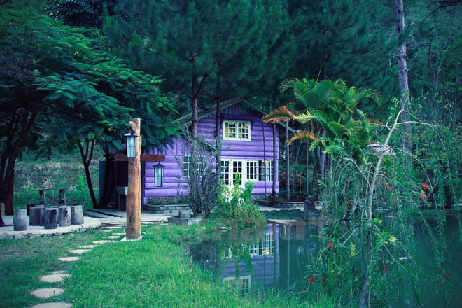 Ma Rừng lữ quán: Khám phá tiên cảnh nơi thâm sơn cùng cốc ảnh 3