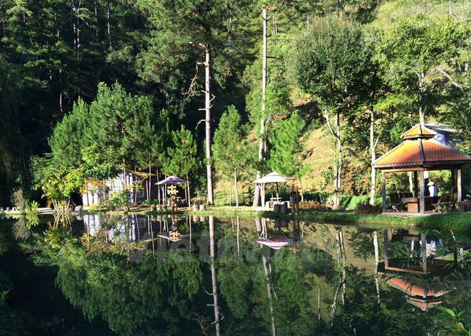 Ma Rừng lữ quán: Khám phá tiên cảnh nơi thâm sơn cùng cốc ảnh 1