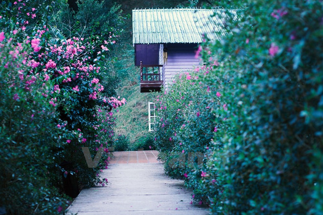 Ma Rừng lữ quán: Khám phá tiên cảnh nơi thâm sơn cùng cốc ảnh 2