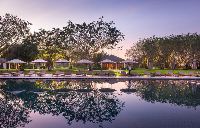 AZCT-The-Swimming-Pool-View-Of-The Banyan-Trees.jpg