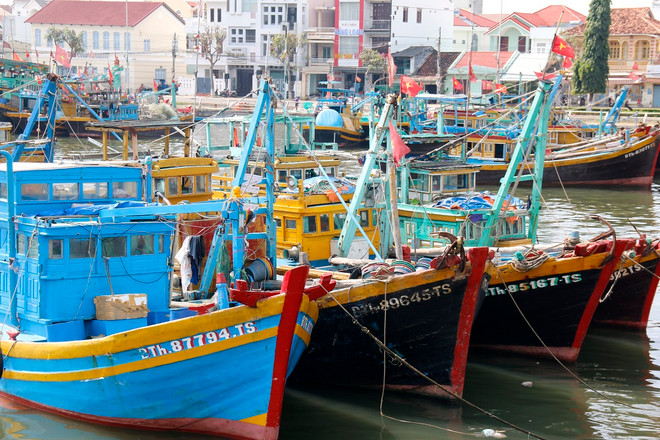 ttxvn-tau ca iuu.jpg