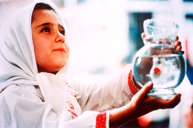 Liên hoan phim quốc tế Hà Nội chiếu miễn phí các tuyệt phẩm Oscar ảnh 1