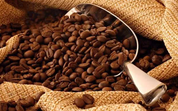 Caffeine có tác dụng chống lại khối u ác tính ở người ảnh 1