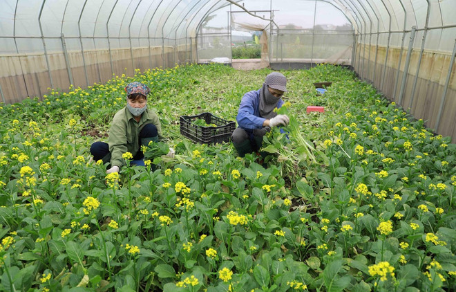 Tháo gỡ từng dự án đẩy nhanh giải ngân đầu tư công ảnh 1