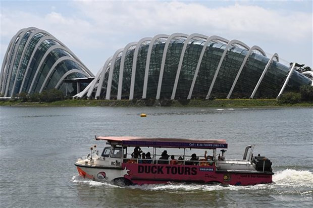 Du lịch hàng không châu Á sẽ không sớm phục hồi như trước đại dịch ảnh 1