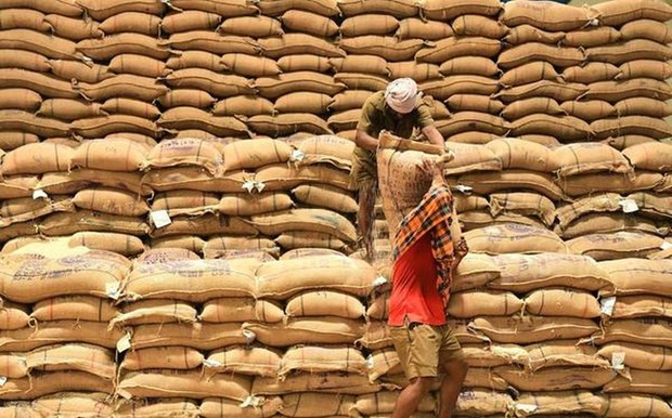 Gạo xuất khẩu của Ấn Độ. (Nguồn: thehindu.com) Thị trường nông sản thế giới tuần qua: Giá gạo Thái Lan, Ấn Độ giảm ảnh 1