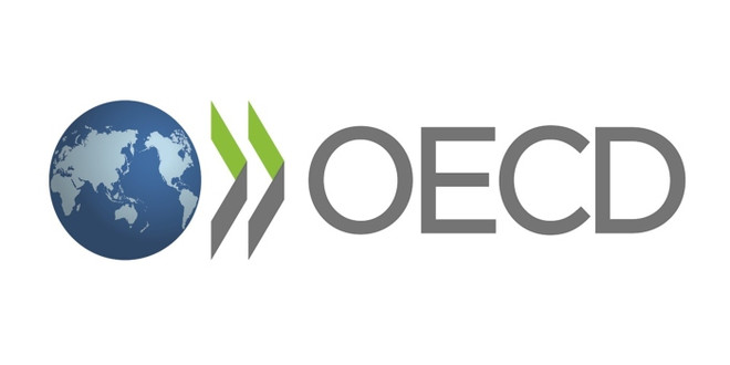Hội nghị về an ninh mạng của OECD bàn cách ứng phó khủng hoảng ảnh 1