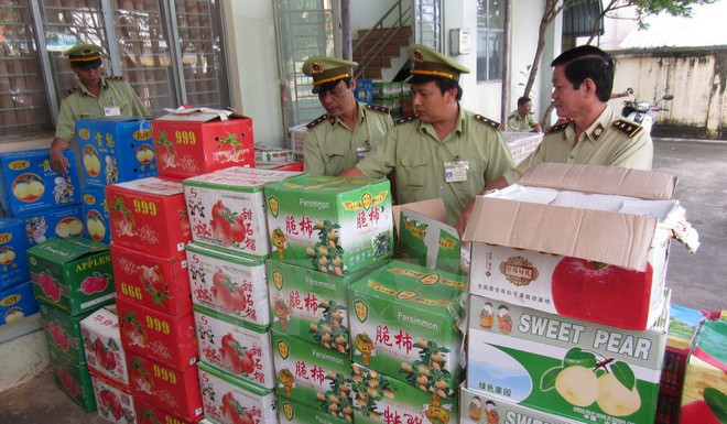 Tiêu hủy gần 1 tấn trái cây nhập lậu không rõ nguồn gốc xuất xứ ảnh 1