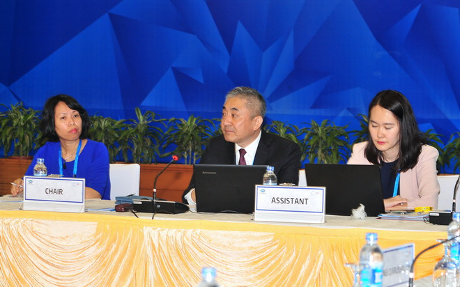 APEC 2017: Hơn 200 đại biểu dự các cuộc họp đầu tiên của SOM 2 ảnh 1
