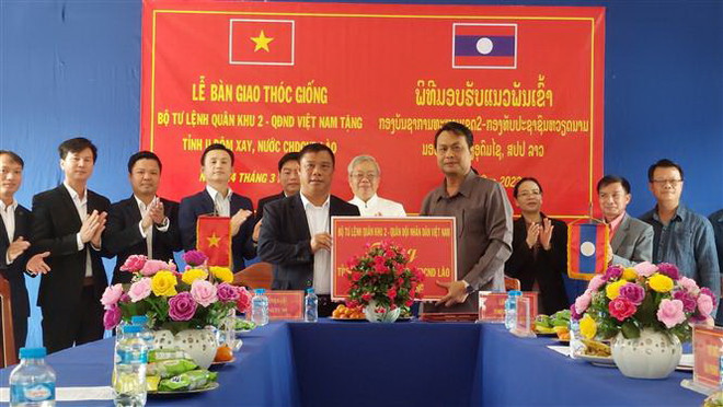 Việt Nam giúp tỉnh Oudomxay của Lào phát triển kinh tế nông nghiệp ảnh 1