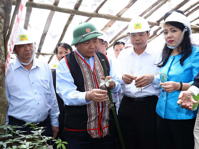 Thủ tướng Nguyễn Xuân Phúc tới thăm vùng trồng sâm Ngọc Linh ảnh 2