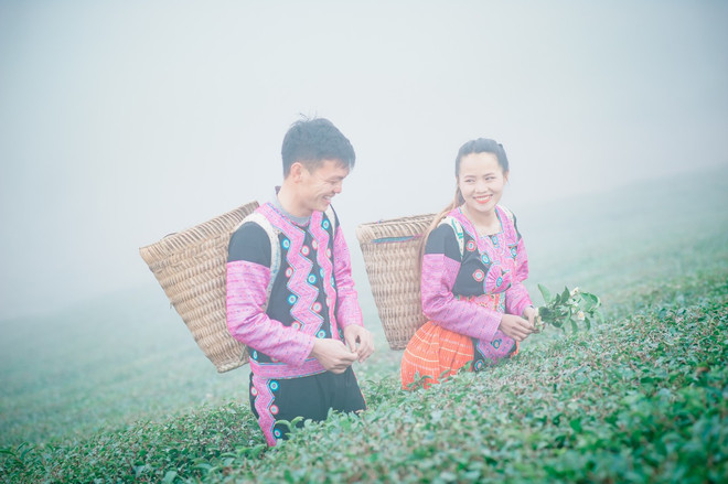 Vườn chè hữu cơ ở bản Dọi. (Ảnh: CTV/Vietnam+) Trải nghiệm một Tây Bắc đầy khác lạ cùng food blogger Phan Anh ảnh 3