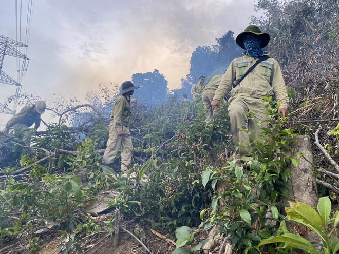 Cháy rừng gây sự cố nghiêm trọng đường dây 500 kV Dốc Sỏi-Pleiku 2 ảnh 1