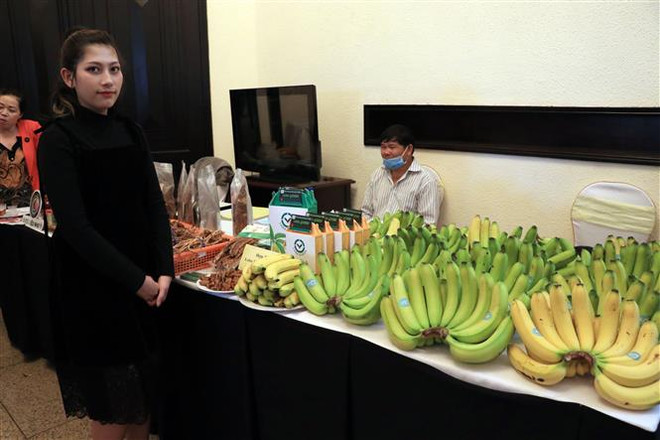 Phát triển nông nghiệp hữu cơ ở Việt Nam: Xây dựng chiến lược dài hạn ảnh 2