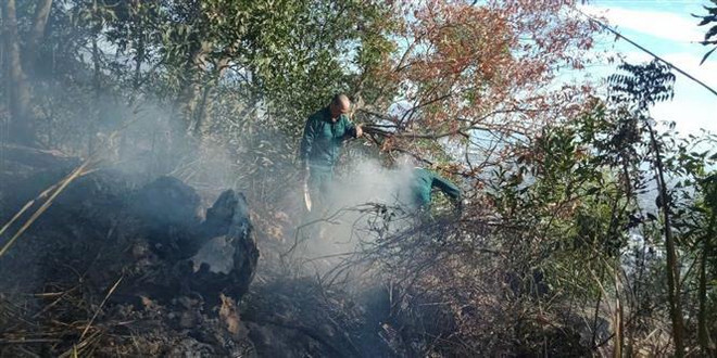 Cháy gần 11ha rừng tràm và thực bì do người dân đốt vàng mã ảnh 1