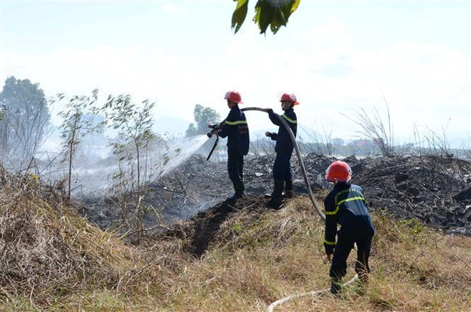 Khống chế cháy rừng, vận hành an toàn đường dây truyền tải điện ảnh 1