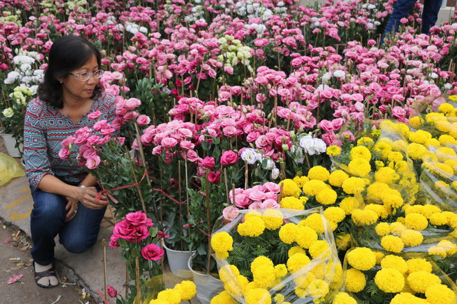 Quảng Ninh: Hoành Bồ rực rỡ sắc màu trong Hội hoa Xuân 2017 ảnh 1