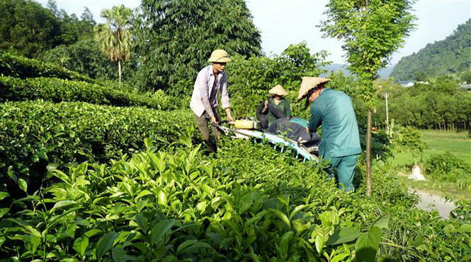 Những ngày tháng Tám trên quê hương cách mạng Tân Trào lịch sử ảnh 3