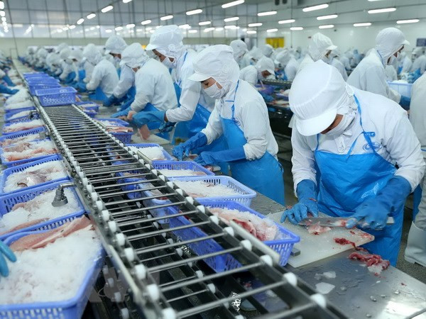 Chuyên gia dự báo về tăng trưởng kinh tế Việt Nam trong năm 2019 ảnh 1