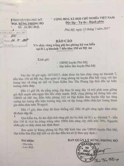 Chủ tịch tỉnh Bình Định: Dự án điện gió không làm mất rừng, mất titan ảnh 2