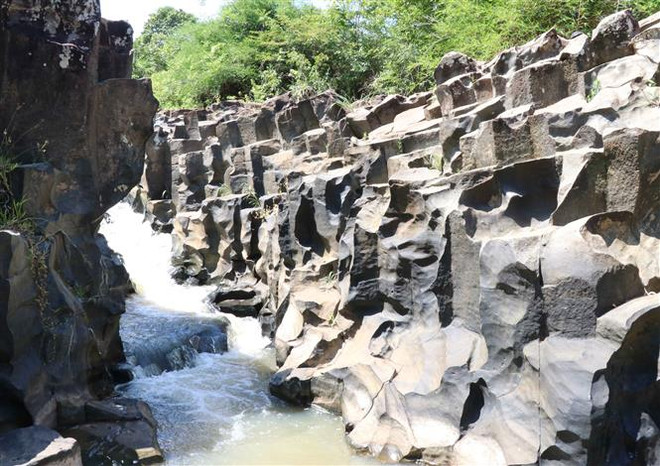 Phát hiện suối đá cổ trên 100 triệu năm tuổi, giống Gành Đá Đĩa ảnh 1