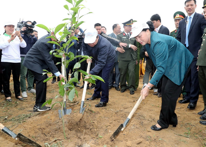 Chủ tịch Quốc hội dự Lễ ra quân hưởng ứng Tết trồng cây tại Hòa Bình ảnh 2