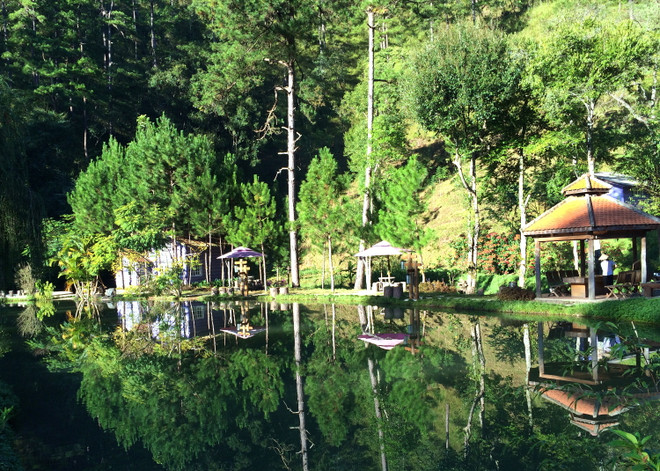 “Mở cửa lại bầu trời” liệu có an toàn khi COVID-19 chưa kết thúc? ảnh 2