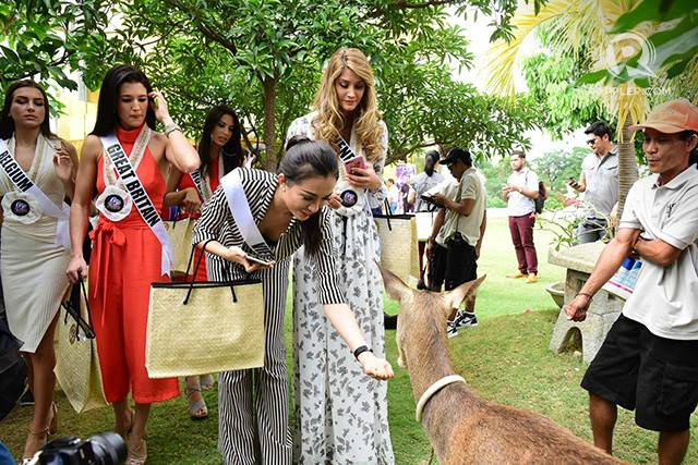 Á hậu Lệ Hằng tự tin trình diễn quốc phục Philippines ảnh 5