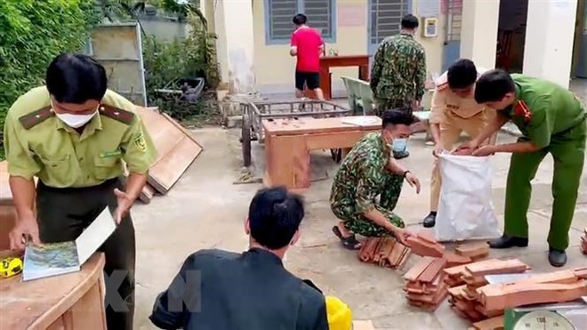 ​Chống tham nhũng, tiêu cực ngay trong các lực lượng chức năng ảnh 1