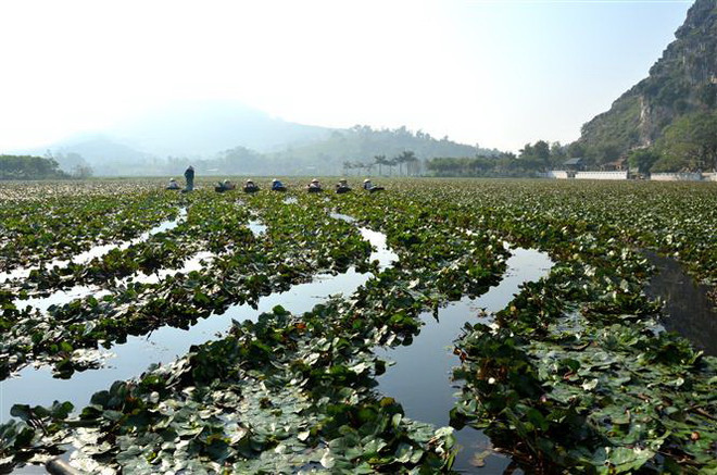 Suối Ấu Vĩnh An - điểm đến hấp dẫn du khách trong mùa Thu ảnh 3