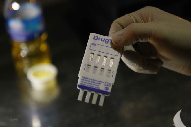 Tài xế đầu kéo dương tính ma túy: Tước giấy phép lái xe 23 tháng ảnh 1