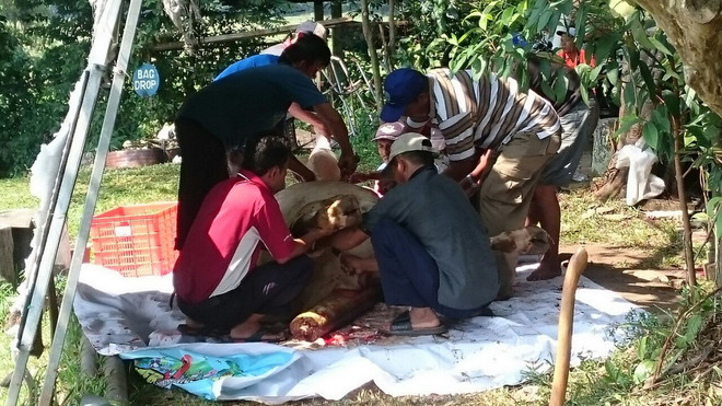 Trải nghiệm lễ Idul Adha thú vị của người Hồi giáo ở Indonesia ảnh 5