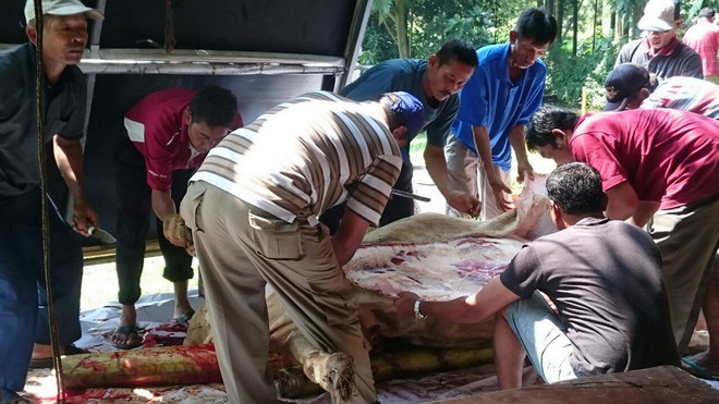 Trải nghiệm lễ Idul Adha thú vị của người Hồi giáo ở Indonesia ảnh 3