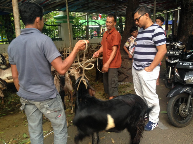 Trải nghiệm lễ Idul Adha thú vị của người Hồi giáo ở Indonesia ảnh 1