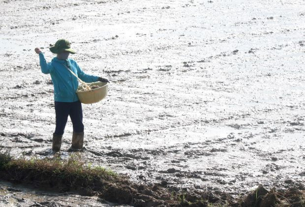 Phòng chống hạn hán, bảo đảm nguồn nước sản xuất vụ Đông-Xuân ảnh 1