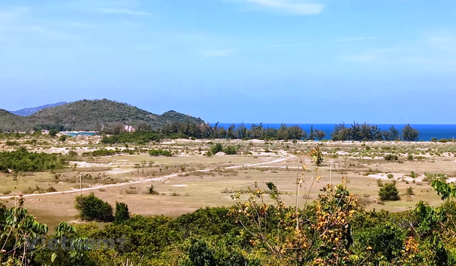 Nghiên cứu ý kiến của giáo sư Đặng Hùng Võ về việc xử lý dự án "treo" ảnh 1