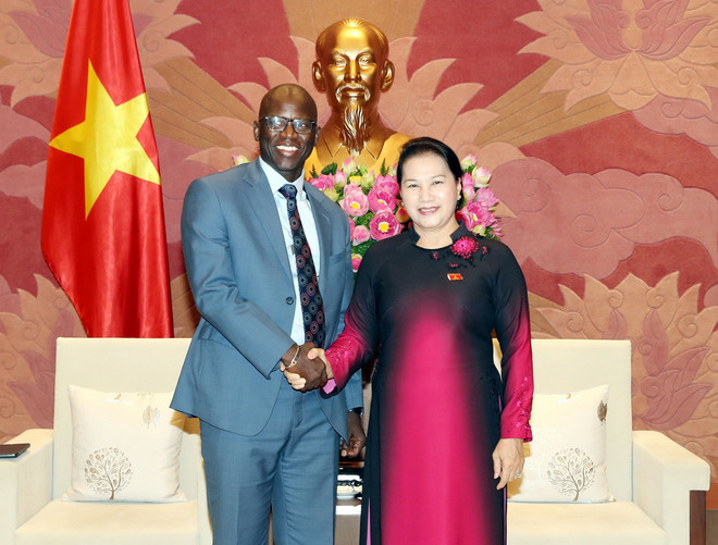 WB: Việt Nam có thể trở thành hình mẫu cho các nước đang phát triển ảnh 1