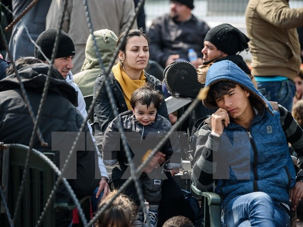 EC đề xuất phương án cải cách hệ thống tiếp nhận người tị nạn ảnh 1