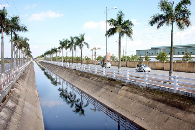 Thanh niên, trí thức trẻ tình nguyện góp sức xây dựng nông thôn mới ảnh 1