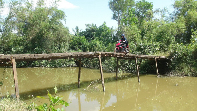 Quảng Trị: Người dân thấp thỏm với những cây cầu... chờ sập ảnh 1