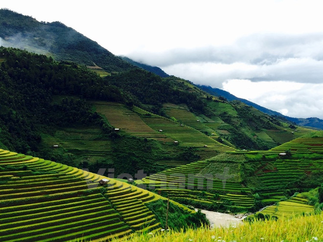 Nhiều sản phẩm độc đáo trong Năm Du lịch tỉnh Yên Bái 2017 ảnh 1